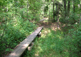Good Harbor Bay Trail