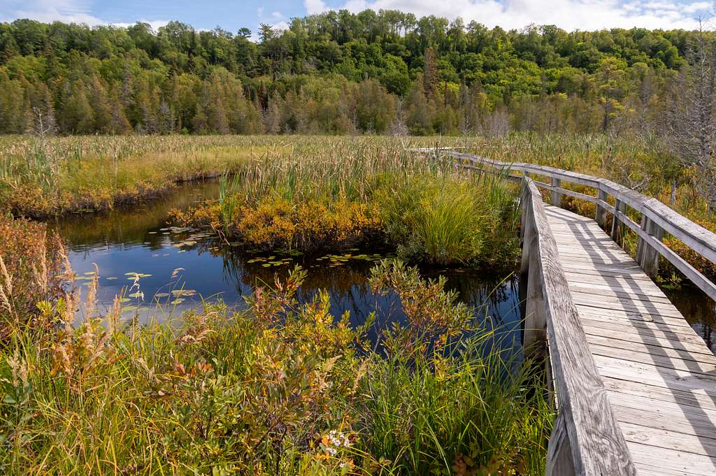 Sand Point Marsh Trail