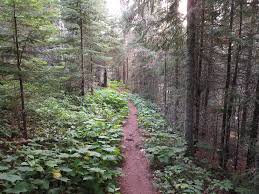 An image of the Stoll Trail